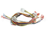 34435 Blodgett Harness,Iq Control Ctbkfc