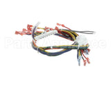 34435 Blodgett Harness,Iq Control Ctbkfc