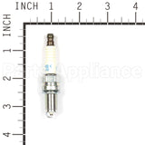 3481 NGK Dcpr6E Spark Plug