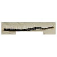 35001128 Whirlpool Sponge-Epdm