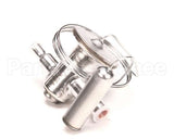 3516557 Delfield Valve,Thermal,Expansion, #3,W/