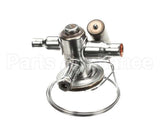 3516661 Delfield Valve,Therm Exp,W/O Mop, R290