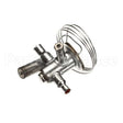 3516663 Compatible Delfield Valve, Therm Exp, W/O Mo P, R290