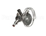 3516663 Delfield Valve,Therm Exp,W/O Mop, R290
