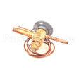 3517393 Compatible Delfield Valve, Exp, R404A, Ref, 1/4 1Dr Dt