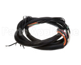 35476 Henny Penny Cord Assembly