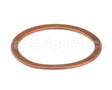 36240005 Rancilio Gasket Exchanger
