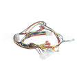 36247 Compatible Blodgett Harness, Control, Dfg50 Iq Mod