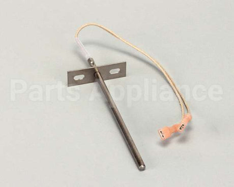 36506 Blodgett Probe, Thermistor 7 Lead