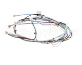 36677.0016 Bunn Wiring Harness, Itcb 208V