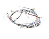 36677.0016 Bunn Wiring Harness, Itcb 208V