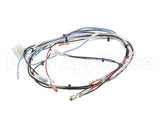 36677.0016 Bunn Wiring Harness, Itcb 208V