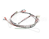 36677.0024 Bunn Wiring Harness, Itcb Mcd