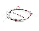 36677.0024 Bunn Wiring Harness, Itcb Mcd