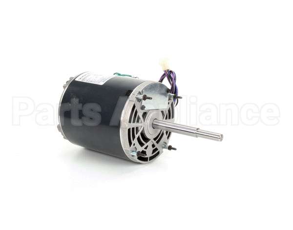 369539 Lincoln Motor 115V 2'' Gas