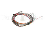 37133 Blodgett Harness, Manifold Meat Probe