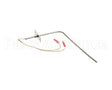 37519 Blodgett Probe, Rtd 1000 Ohm (Iq2-Pro3)