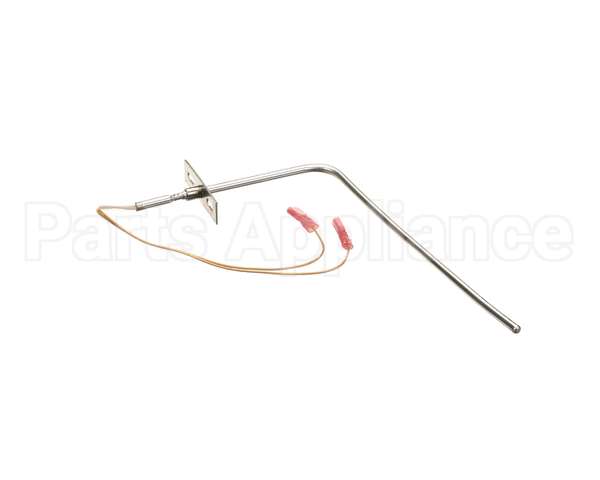 37519 Blodgett Probe, Rtd 1000 Ohm (Iq2-Pro3)