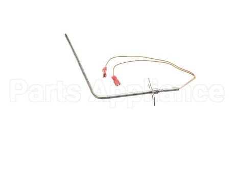 37519 Blodgett Probe, Rtd 1000 Ohm (Iq2-Pro3)