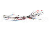 38040.0014 Bunn Wiring Harness, Main Icb Sh