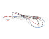 38040.0028 Bunn Wiring Harness, Main Icb Sh