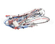 38040.0029 Bunn Wiring Harness, Main Icb Twin Sh