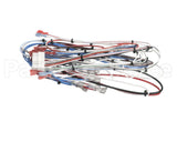 38040.0029 Bunn Wiring Harness, Main Icb Twin Sh