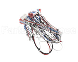 38040.0029 Bunn Wiring Harness, Main Icb Twin Sh