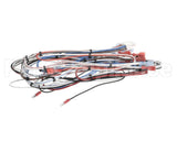 38040.0029 Bunn Wiring Harness, Main Icb Twin Sh