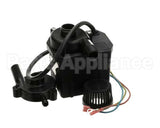 38698.0001 Bunn Kit, Pump Assembly 230V With Top