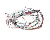 38940.0005 Bunn Wiring Harness, Main Imix-5S