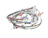 38940.0005 Bunn Wiring Harness, Main Imix-5S