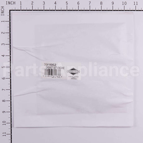 391662 Briggs & Stratton Gasket Set-Engine