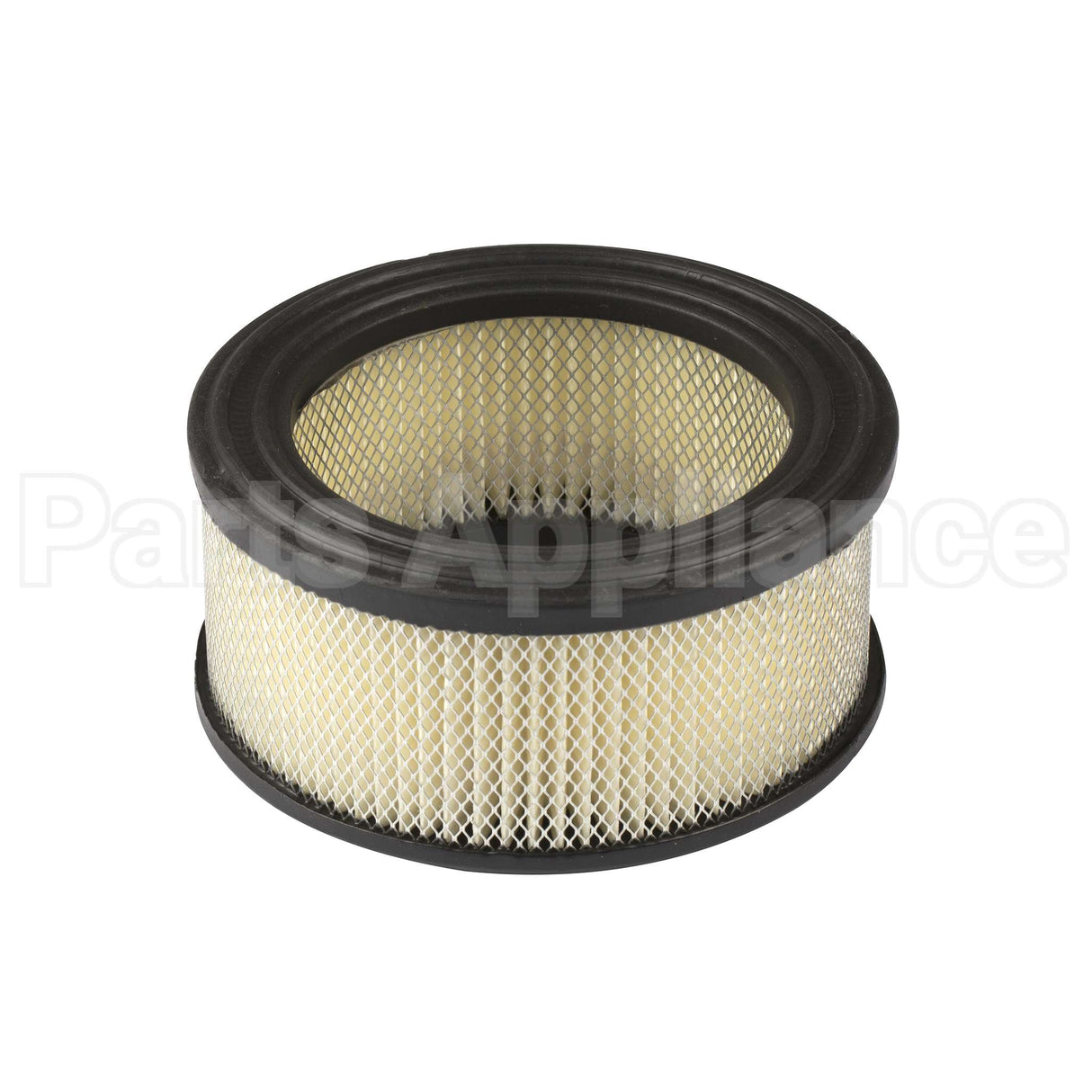 392286 Briggs & Stratton Filter-A/C Cartridge