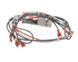 39234 Blodgett Harness,Sh1G/Ab,Control 24V