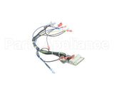 39235 Blodgett Harness,Cntl Sh1G/Zephg 2Spd