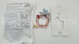 100109295 Lochinvar & A.o. Smith 190 Deg C Pilot Assembly Fv