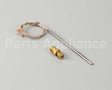 39800 Blodgett Probe,Rtd 1K W/Fitting