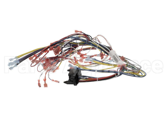 39836 Blodgett Harness, Infinite Wire