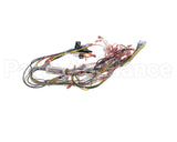 39836 Blodgett Harness, Infinite Wire