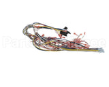 39836 Blodgett Harness, Infinite Wire