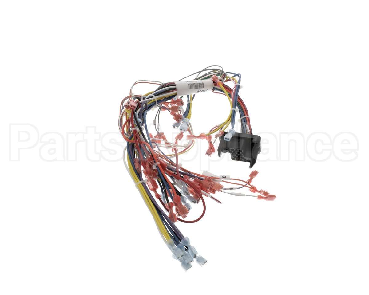 39836 Blodgett Harness, Infinite Wire