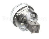 39995-7 Montague Light Assembly W/Bulb / Socket240V