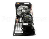 3A9520-01 Hoshizaki Condensing Unit