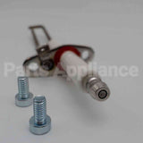 100165920 Lochinvar & A.o. Smith Ignitor