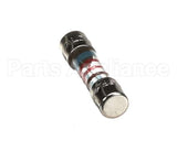 40200054 Firex Delayed Fuse 5X20 125A T250V