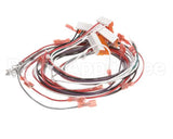 402025 Fetco Harness Low Amp Electrical