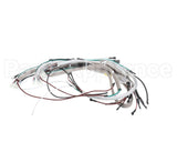 40240 Imperial R/H Wire Harness Iheg-J/Cs