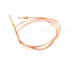 40400100 Firex Thermocouple M9X1 L1200