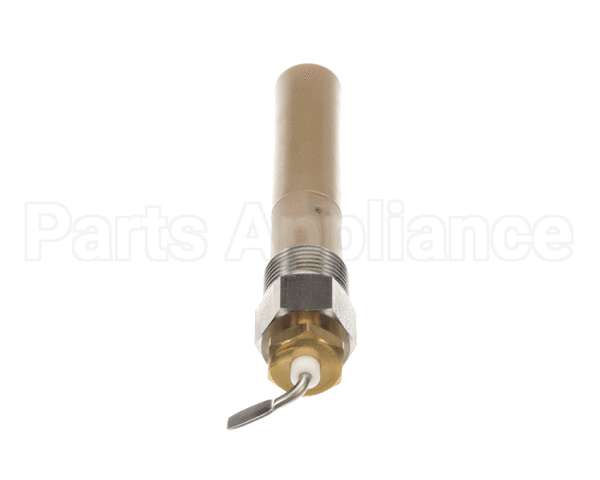 40500.1677 Thermoplan Security Probe Assembly